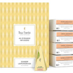 Event Box Ginger Lemongrass 40ct